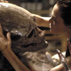 Image for article titled Did Damon Lindelof just save the Alien Prequel?